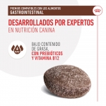 Royal Canin Treats Gastrointestinal Snack para Perros