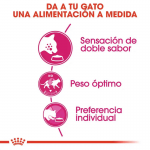 Saco frontal - Royal Canin Savour Exigent Pienso Para Gato