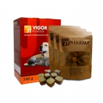 JTPharma Vigor Pharma Snack para Perros y Gatos Estimulante del Apetito
