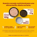 Almo Nature HFC Sterilised Comida Húmeda para Gatos Esterilizados Filete de Pollo
