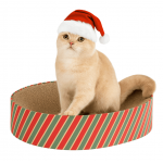 Rascador de Cartón para Gatos Cama de Navidad Pawise