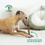 Wild Balance Dental Stick Calming & Chill Snack Dental Atiestrés para Perros Medianos