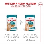 Royal Canin-Ageing +12 Pouch 85gr. (1)