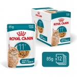 Royal Canin-Aeging +12 Pouch ( Jelly) 85 gr (1)