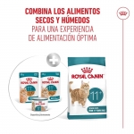 Royal Canin-Aeging +12 Pouch ( Jelly) 85 gr (1)