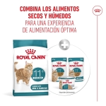 Pienso Royal Canin Sterilised +11 para gatos mayores esterilizados