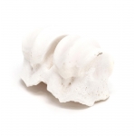 Gloria Nudillo de Calcio Snack para Perros Pequeños