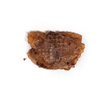 Natural Snackys Snack para Perros Ala Pota Deshidratada