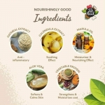 PetHead Champú para Perros con Piel Sensible Aroma a Coco