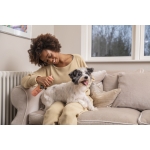 PetHead Champú y Acondicionador 2 en 1 para Perros con Aroma a Melocotón