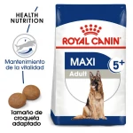 Royal Canin Maxi Adult 5+ Pienso Para Perro Senior De Raza Grande