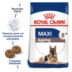 Royal Canin Maxi Ageing 8+ Pienso Para Perro En Edad Avanzada De Raza Grande