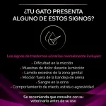 UR Urinario para Gato (6)