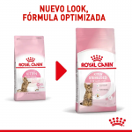 Royal Canin Cat Kitten Sterilised Pienso Para Gatito Esterilizado