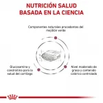 Royal Canin Veterinary Diets-Mobility C2P+ (1)