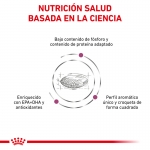 Royal Canin Veterinary Diets-Renal RF 14 (1)