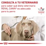 Royal Canin Veterinary Diets-Renal RF 14 (1)