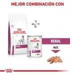 Royal Canin Veterinary Diets-Renal RF 14 (1)