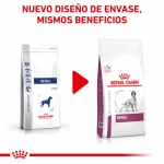 Royal Canin Veterinary Diets-Renal RF 14 (1)