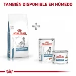 Royal Canin Veterinary Diets-Hipoalergénico DR 21 (1)