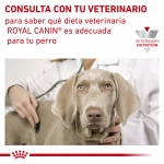Royal Canin Veterinary Diets-Hipoalergénico DR 21 (1)