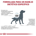 Royal Canin Veterinary Diets-Hipoalergénico DR 21 (1)