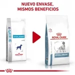 Royal Canin Veterinary Diets-Hipoalergénico DR 21 (1)