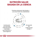 Royal Canin Veterinary Diets-Hipoalergénico DR 21 (1)