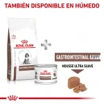 Gastro Intestinal Junior (1)