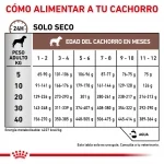 Gastro Intestinal Junior (1)