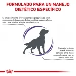 Royal Canin Veterinary Diets-Vet Care Mature Dog (1)