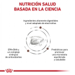 Royal Canin Veterinary Diets-Feline Gastro Intestinal (1)