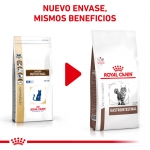 Royal Canin Veterinary Diets-Feline Gastro Intestinal (1)