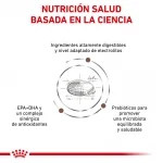 Royal Canin Veterinary Diets-Fibre Response (1)
