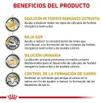 Royal Canin Veterinary Diets-Urinary S/O Small Dog (1)
