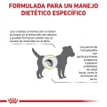 Royal Canin Veterinary Diets-Urinary S/O Small Dog (1)