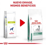 Royal Canin Veterinary Diets-Diabetic Canine (1)