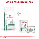 Royal Canin Veterinary Diets-Diabetic Canine (1)