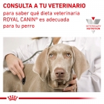 Royal Canin Veterinary Diets-Diabetic Canine (1)