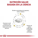 Royal Canin Veterinary Diets-Urinary S/O Moderate Calories (1)