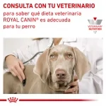 Royal Canin Veterinary Diets-Urinary S/O Moderate Calories (1)