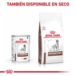 Royal Canin Veterinary Diets-Gastro Intestinal 400g Húmedo (1)