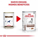 Royal Canin Veterinary Diets-Gastro Intestinal 400g Húmedo (1)
