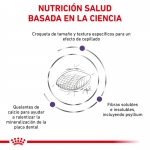 Royal Canin Veterinary Diets-Feline Dental (1)