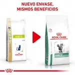 Royal Canin Veterinary Diets-Feline Diabetic (1)