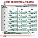 Royal Canin Veterinary Diets-Feline Diabetic (1)