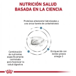 Royal Canin Veterinary Diets-Feline Hypoallergenic (1)