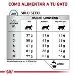 Royal Canin Veterinary Diets-Feline Hypoallergenic (1)
