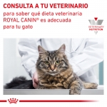 Royal Canin Veterinary Diets-Feline Hepatic (1)