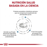 Royal Canin Veterinary Diets-Anallergenic Feline (1)